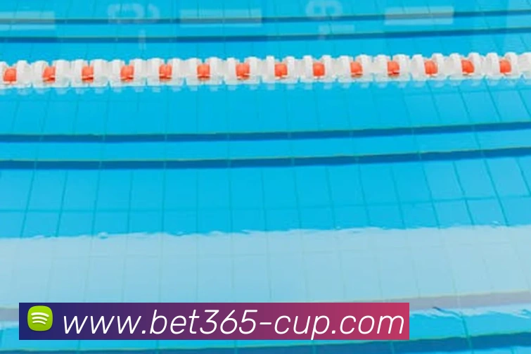 Bet365体育平台生态图