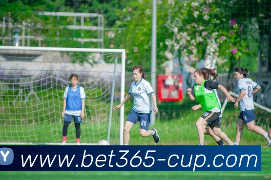 Bet365体育APP 封面图